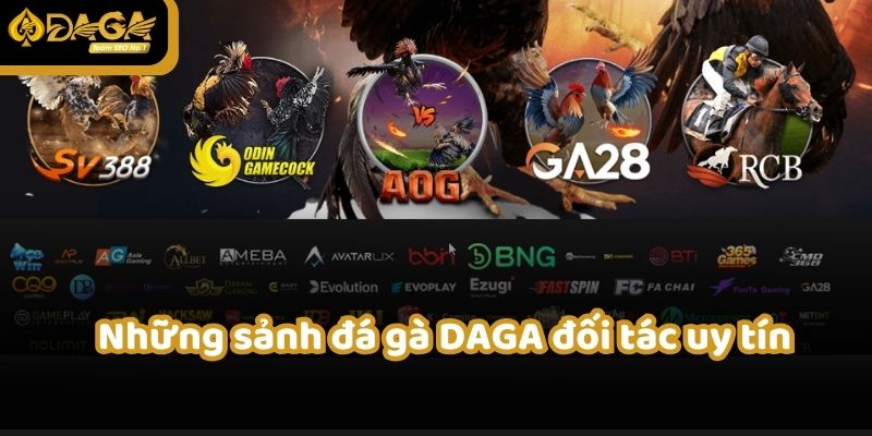 Sảnh đá gà DAGA 