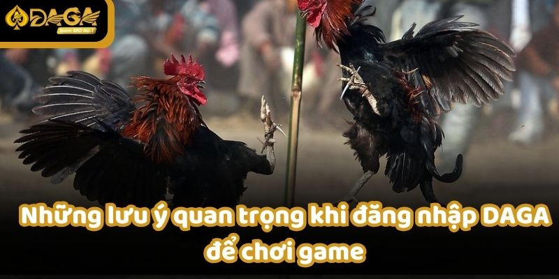 Những lưu ý quan trọng khi đăng nhập DAGA để chơi game