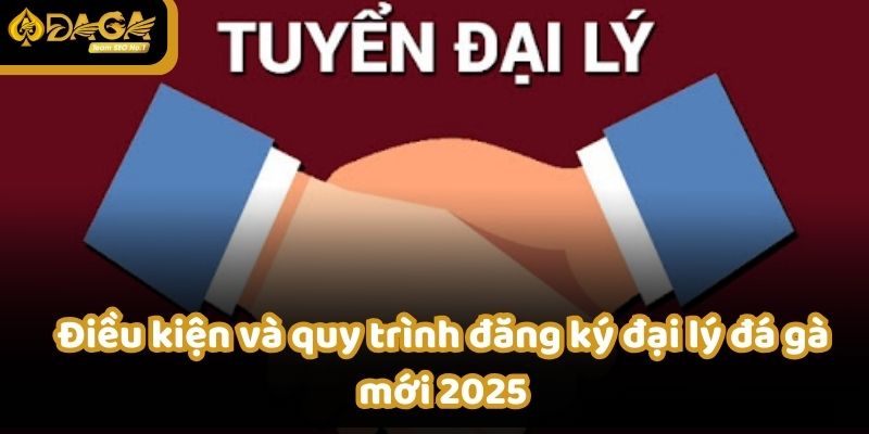 Điều kiện và quy trình đăng ký đại lý đá gà mới 2025