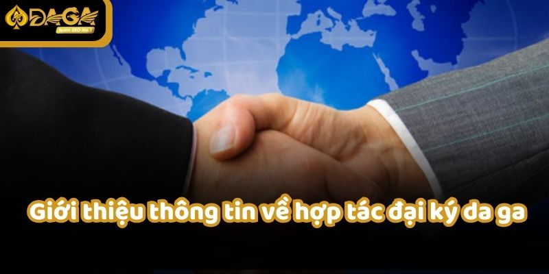 Đại lý đá gà nhận hỗ trợ toàn diện từ hệ thống